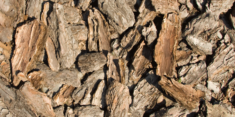 Natural bark design wood effect vinyl rug - TenStickers