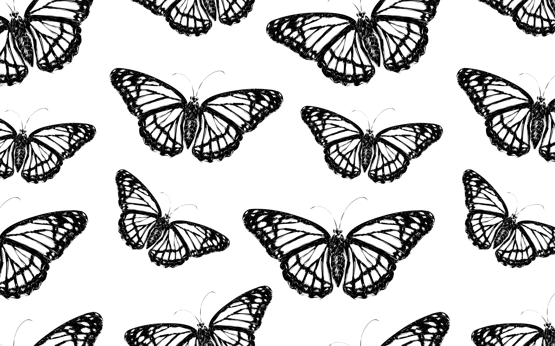 Black and White Butterfly Wing animal rug - TenStickers