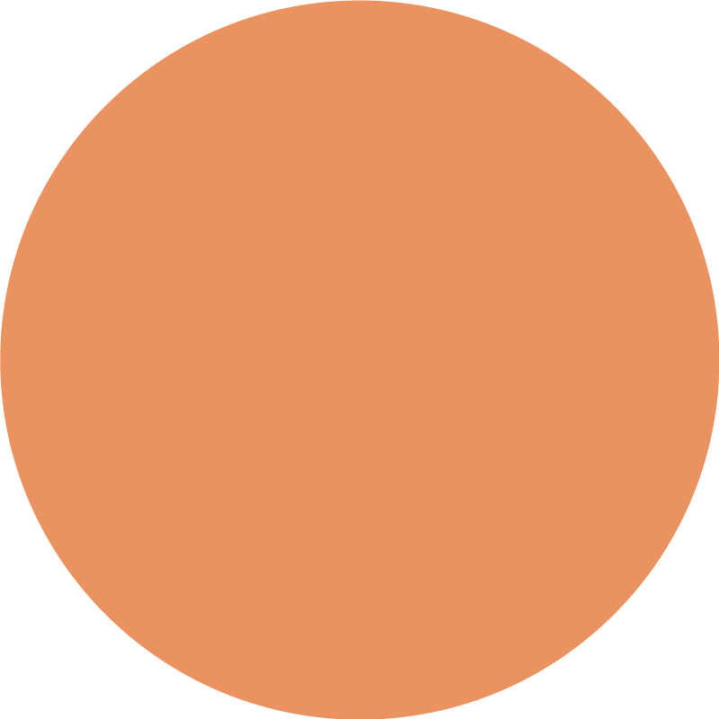 "Apricot Crush" circular vinyl rug - TenStickers