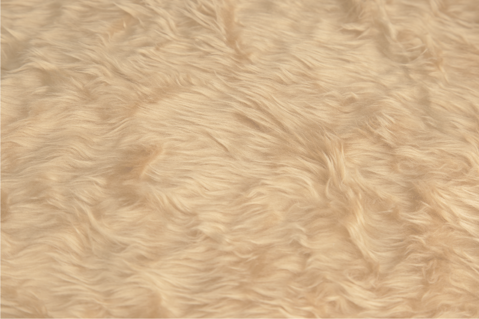 Wool effect design dining room carpet - TenStickers