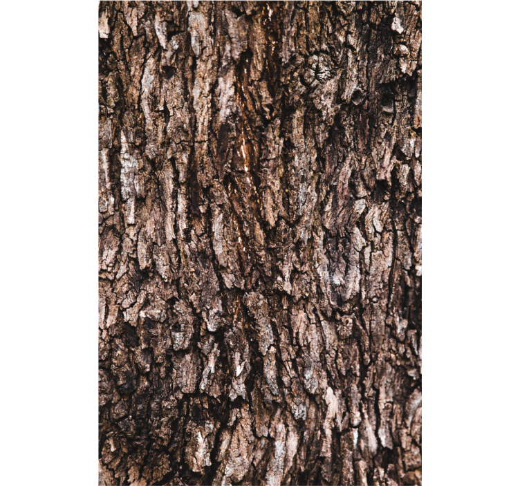 Textured wallpaper bark texture - TenStickers