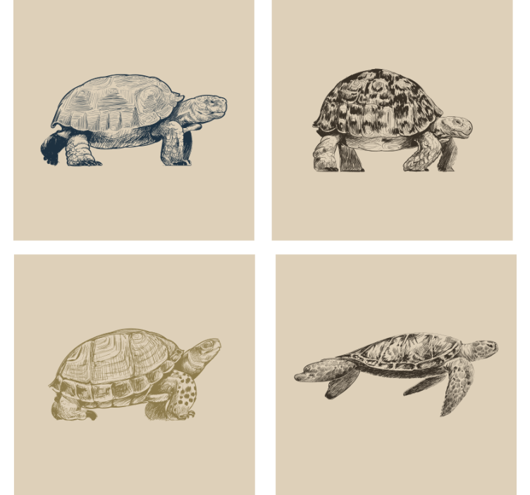 Retro wallpaper turtles on beige background - TenStickers