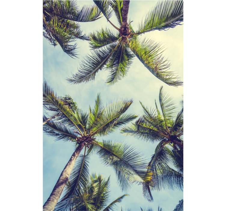 Wallpaper of a tree with palm trees from below - TenStickers