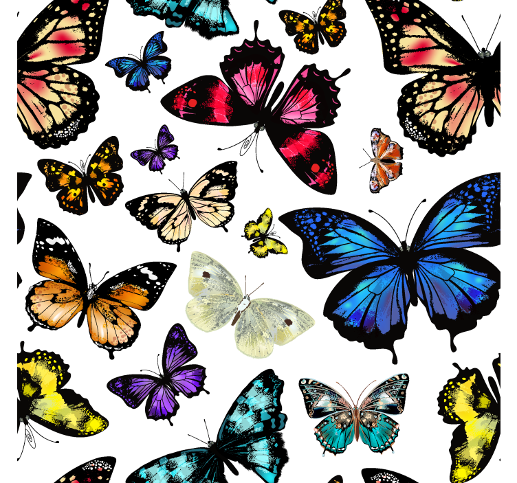 Colored flying motif butterflies wallpaper - TenStickers