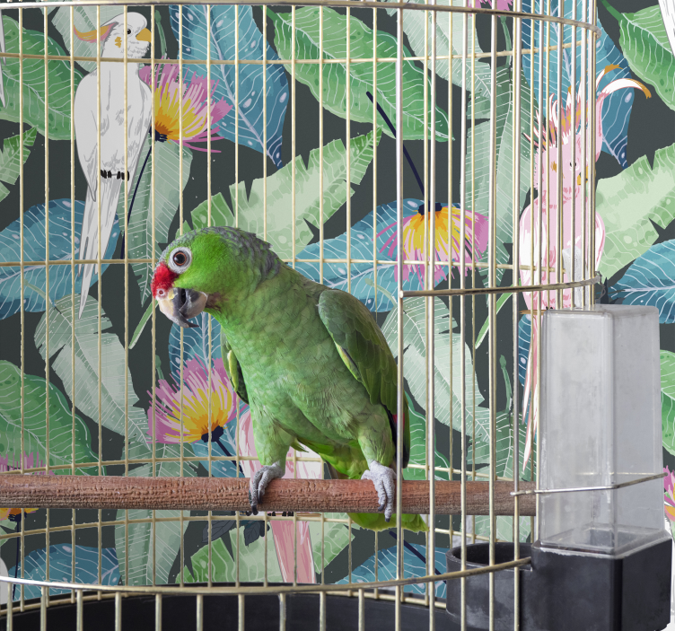 tropical birds and leaves birds wallpaper - TenStickers